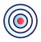 Precision (1)
